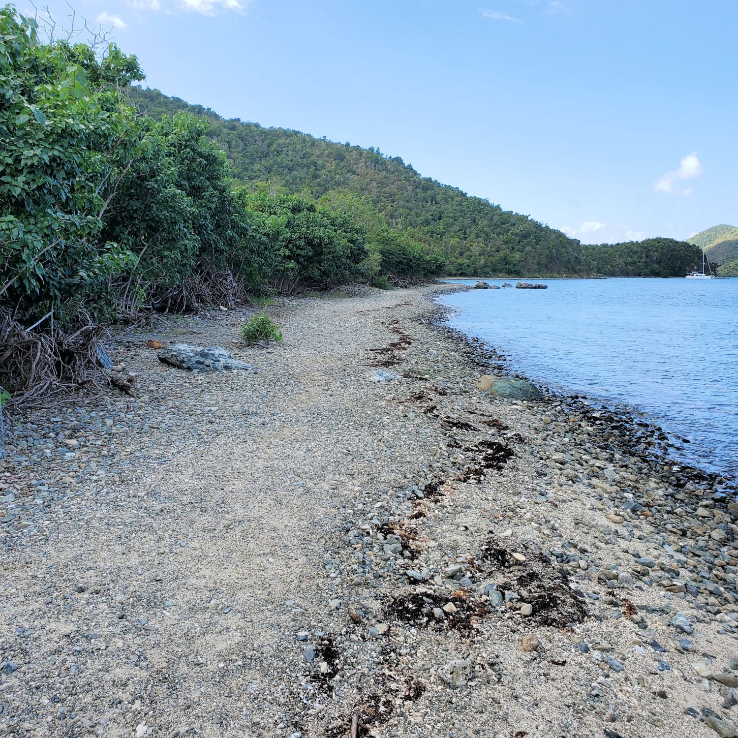 Leinster Bay 